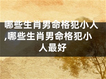 哪些生肖男命格犯小人,哪些生肖男命格犯小人最好