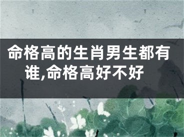 命格高的生肖男生都有谁,命格高好不好