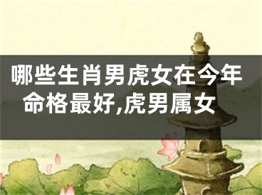 哪些生肖男虎女在今年命格最好,虎男属女