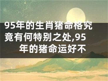 95年的生肖猪命格究竟有何特别之处,95年的猪命运好不