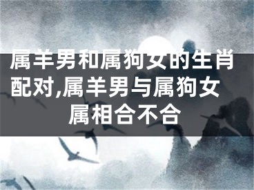 属羊男和属狗女的生肖配对,属羊男与属狗女属相合不合
