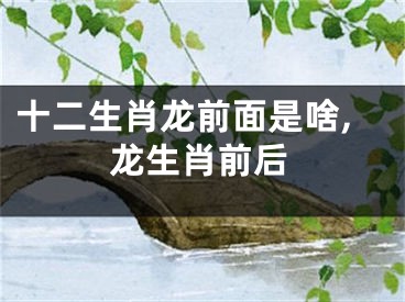 十二生肖龙前面是啥,龙生肖前后