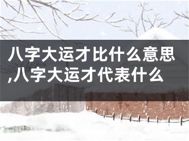 八字大运才比什么意思,八字大运才代表什么