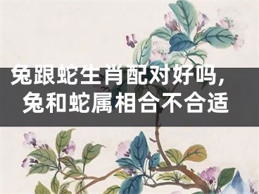 兔跟蛇生肖配对好吗,兔和蛇属相合不合适