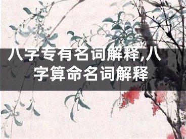 八字专有名词解释,八字算命名词解释