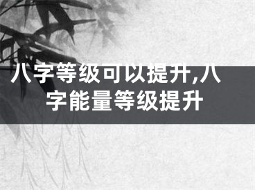 八字等级可以提升,八字能量等级提升
