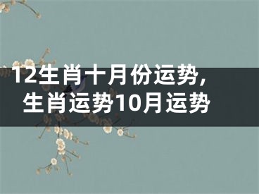 12生肖十月份运势,生肖运势10月运势
