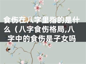 食伤在八字里指的是什么（八字食伤格局,八字中的食伤是子女吗
