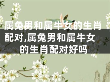 属兔男和属牛女的生肖配对,属兔男和属牛女的生肖配对好吗