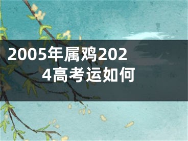 2005年属鸡2024高考运如何