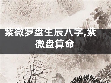 紫微罗盘生辰八字,紫微盘算命