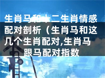 生肖马和十二生肖情感配对剖析（生肖马和这几个生肖配对,生肖马跟马配对指数
