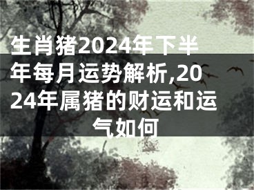 生肖猪2024年下半年每月运势解析,2024年属猪的财运和运气如何