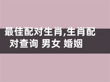 最佳配对生肖,生肖配对查询 男女 婚姻