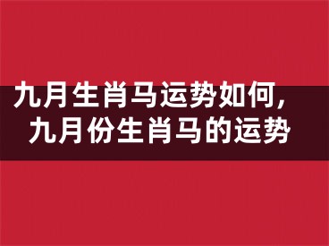 九月生肖马运势如何,九月份生肖马的运势