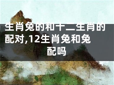 生肖兔的和十二生肖的配对,12生肖兔和兔配吗