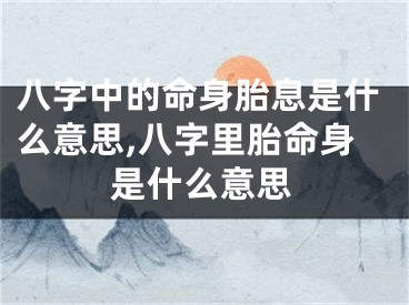 八字中的命身胎息是什么意思,八字里胎命身是什么意思