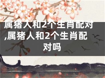 属猪人和2个生肖配对,属猪人和2个生肖配对吗