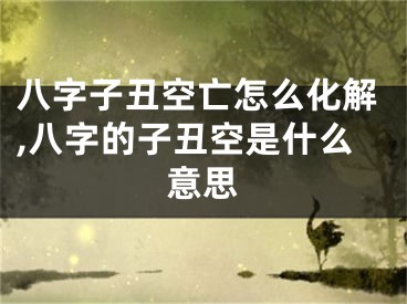 八字子丑空亡怎么化解,八字的子丑空是什么意思
