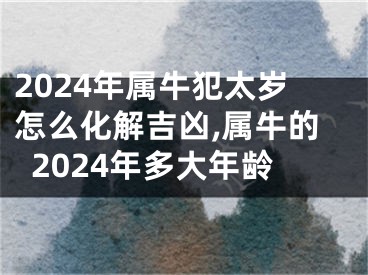 2024年属牛犯太岁怎么化解吉凶,属牛的2024年多大年龄