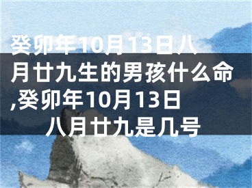 癸卯年10月13日八月廿九生的男孩什么命,癸卯年10月13日八月廿九是几号