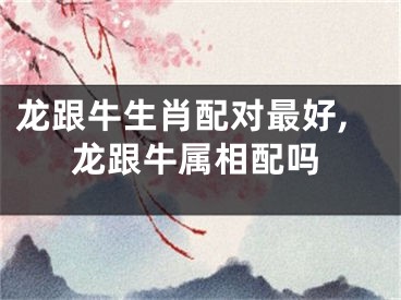 龙跟牛生肖配对最好,龙跟牛属相配吗