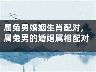 属兔男婚姻生肖配对,属兔男的婚姻属相配对
