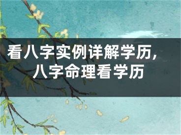 看八字实例详解学历,八字命理看学历