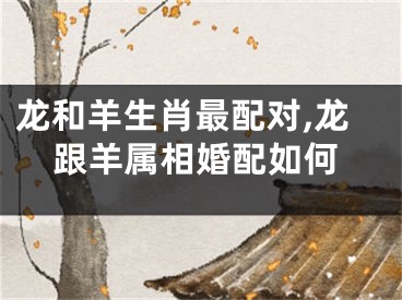 龙和羊生肖最配对,龙跟羊属相婚配如何