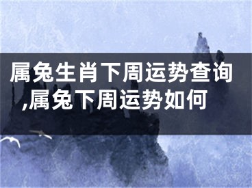 属兔生肖下周运势查询,属兔下周运势如何