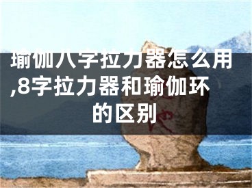 瑜伽八字拉力器怎么用,8字拉力器和瑜伽环的区别