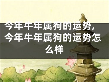 今年牛年属狗的运势,今年牛年属狗的运势怎么样