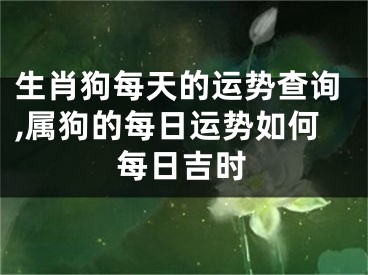 生肖狗每天的运势查询,属狗的每日运势如何每日吉时