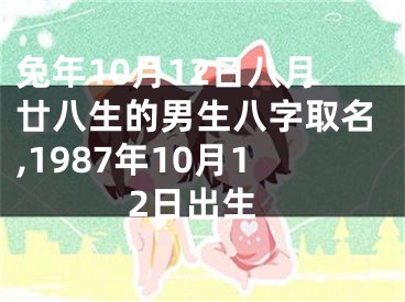 兔年10月12日八月廿八生的男生八字取名,1987年10月12日出生