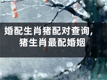 婚配生肖猪配对查询,猪生肖最配婚姻