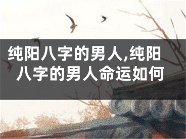 纯阳八字的男人,纯阳八字的男人命运如何