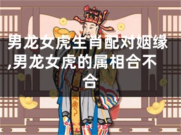 男龙女虎生肖配对姻缘,男龙女虎的属相合不合