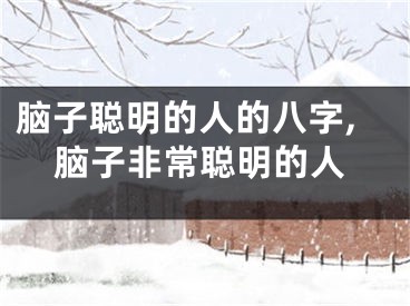 脑子聪明的人的八字,脑子非常聪明的人