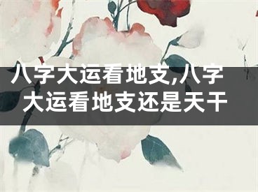 八字大运看地支,八字大运看地支还是天干