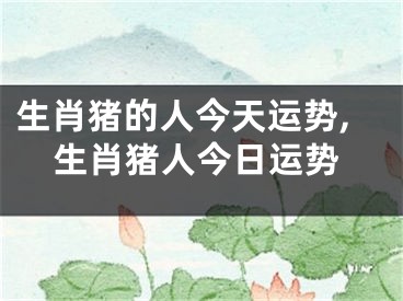 生肖猪的人今天运势,生肖猪人今日运势