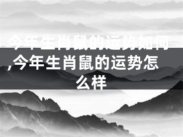 今年生肖鼠的运势如何,今年生肖鼠的运势怎么样