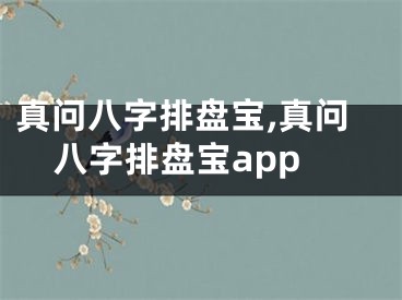 真问八字排盘宝,真问八字排盘宝app