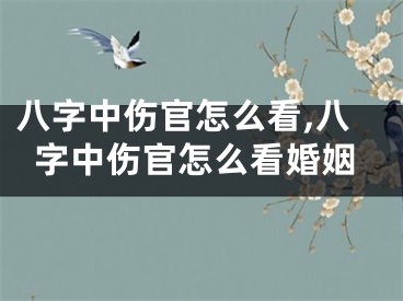 八字中伤官怎么看,八字中伤官怎么看婚姻
