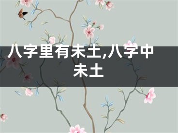 八字里有未土,八字中未土
