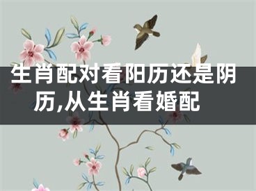 生肖配对看阳历还是阴历,从生肖看婚配