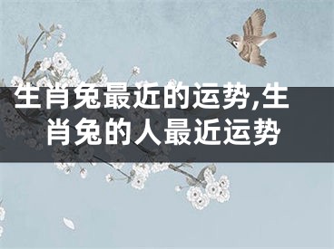 生肖兔最近的运势,生肖兔的人最近运势