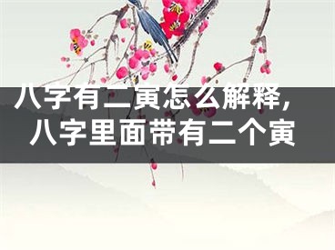 八字有二寅怎么解释,八字里面带有二个寅