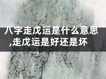 八字走戊运是什么意思,走戊运是好还是坏