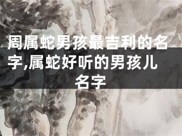 周属蛇男孩最吉利的名字,属蛇好听的男孩儿名字