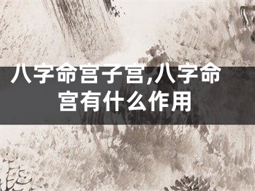 八字命宫子宫,八字命宫有什么作用